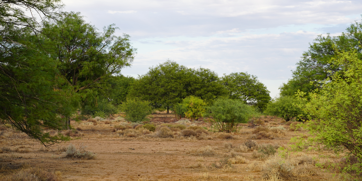 The Water-Smart Brew: How MannaBrew Supports Local Ecosystem Management